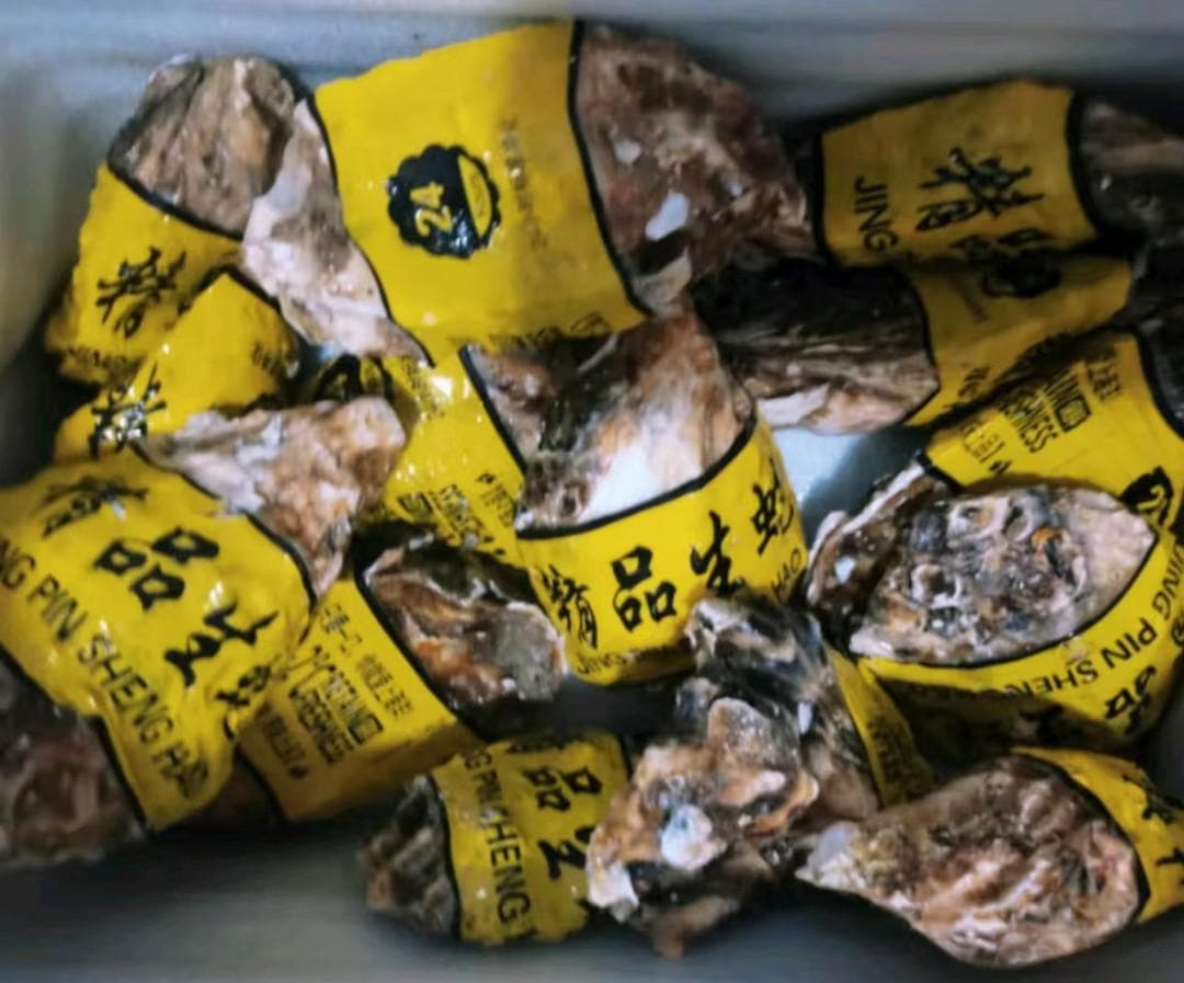 山东生蚝：海洋的珍馐，味蕾的盛宴