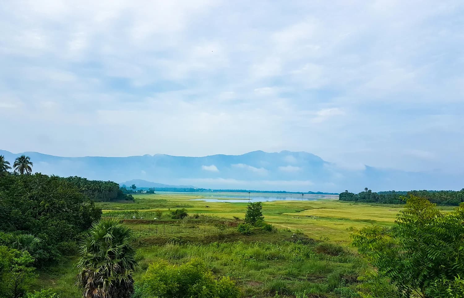 巴南南坪坝：重庆周边自然景观一日游宝藏地