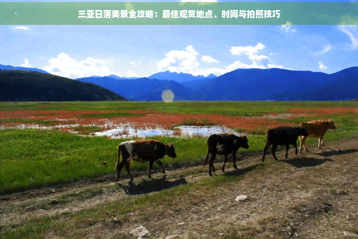 三亚日落美景全攻略：最佳观赏地点、时间与拍照技巧