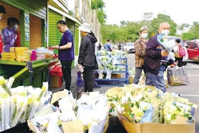 文明祭扫，绿色清明，让传统更添时代新意