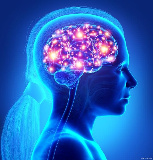 人脑最多可以接收来自几个眼睛的图像信息？