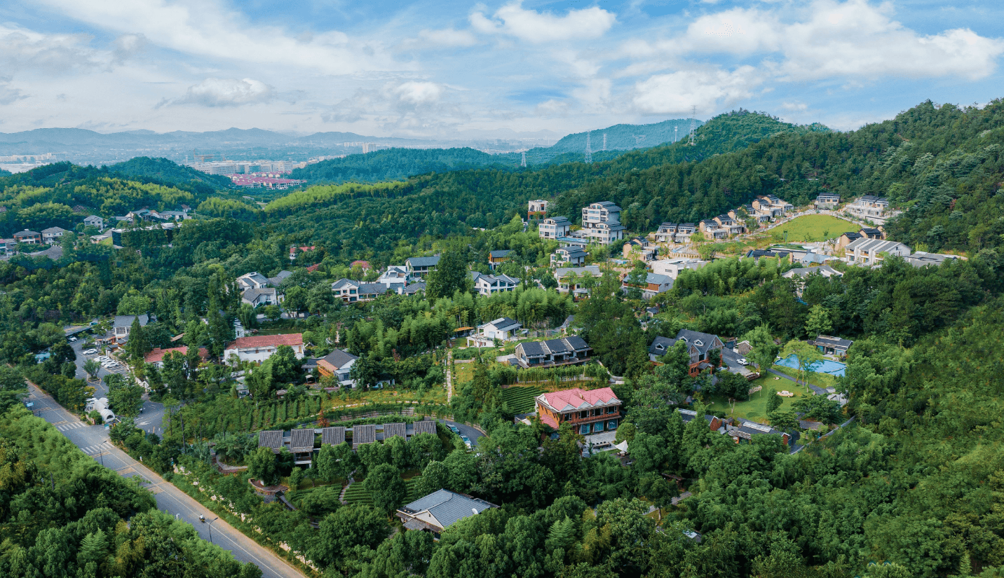桃江竹海景区介绍及其如何游玩推荐指南