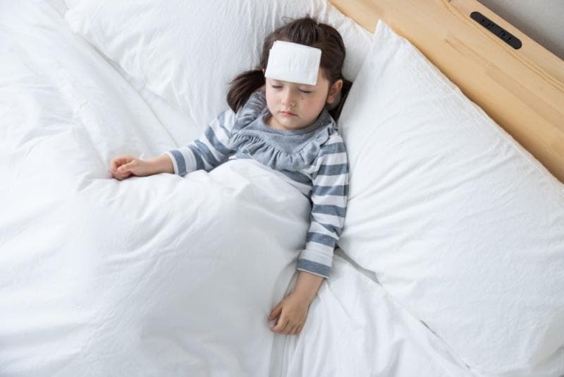 实木床啥木头好，选对材质提升睡眠质量