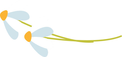 清热利湿，凉血解毒——木棉花