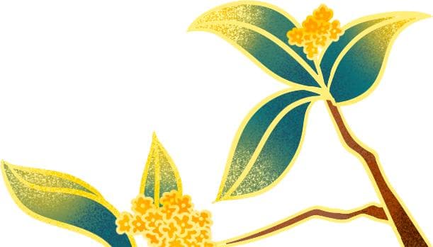 三个字品读沉香花梨