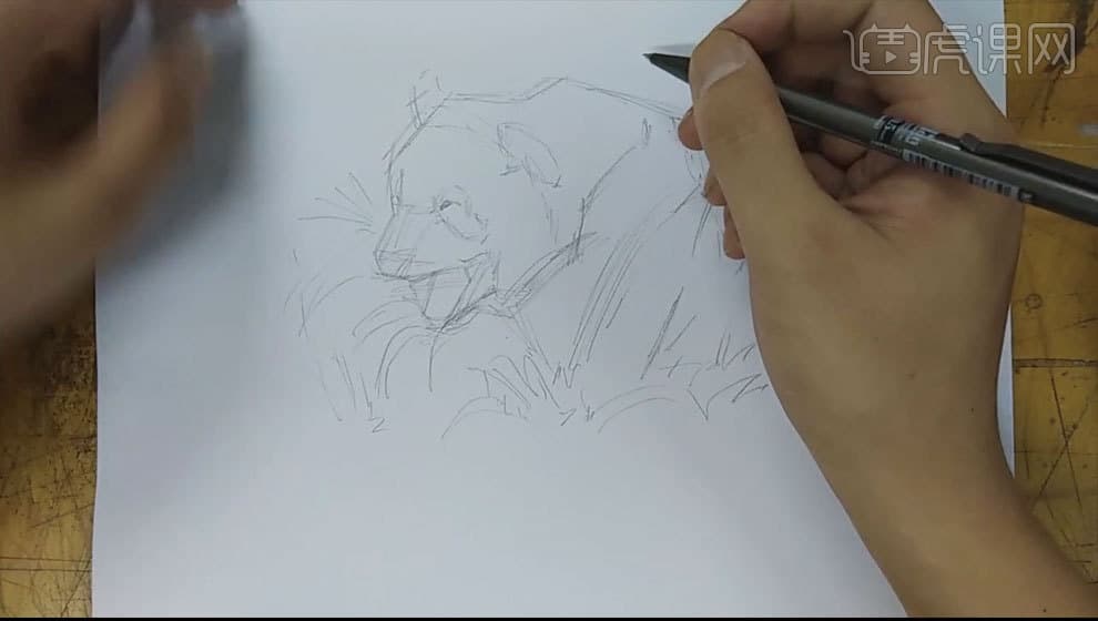 针管笔手绘插画可爱大熊猫教程