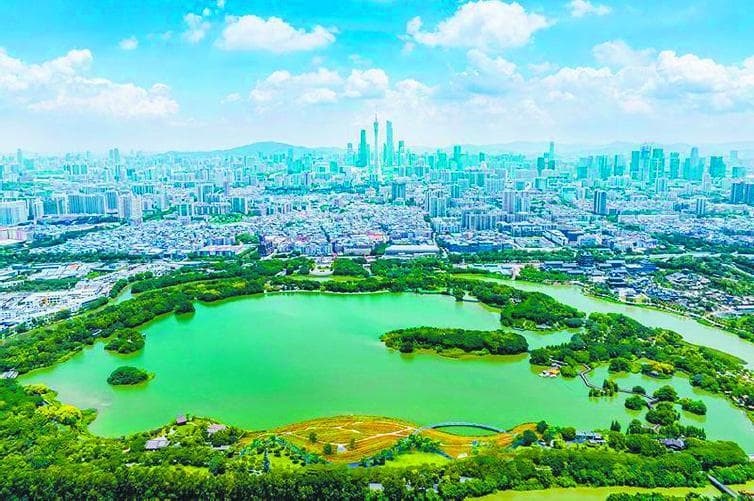 海珠湿地：国际大都会城央湿地典范