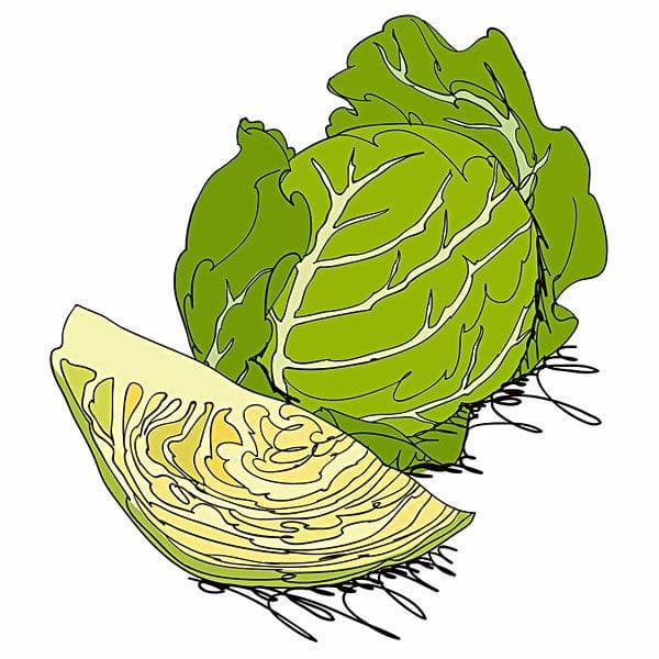 甲亢十大忌口蔬菜