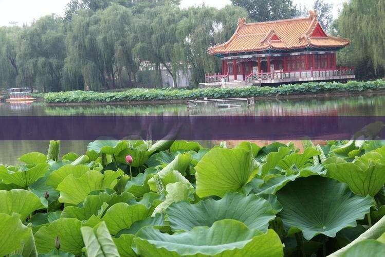 探索和田：旅游攻略、文化体验与风情之旅全指南