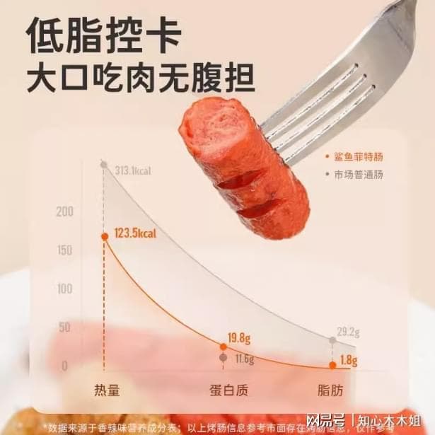 轻食理念：平衡生活与饮食的智慧之选