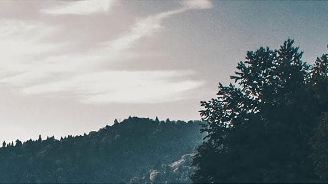 学做财商，必备的五项要求与提升策略