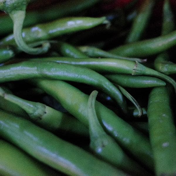 康巴赫炒菜粘锅怎么办