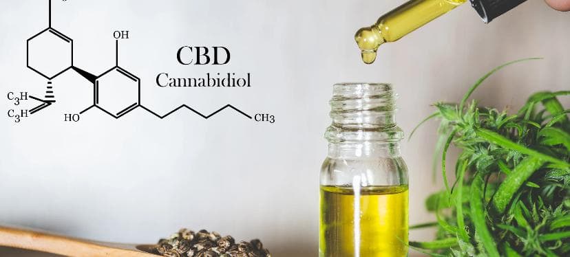 中国江苏研究团队又出新成果：CBD是治疗抑郁症的“有希望的候选药物”