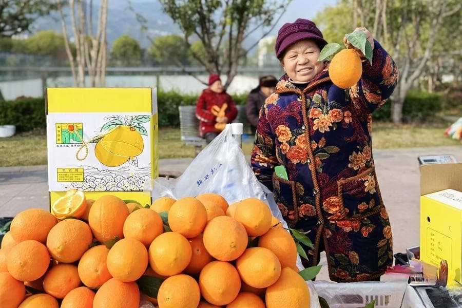 城市现代化治理的奉节路径