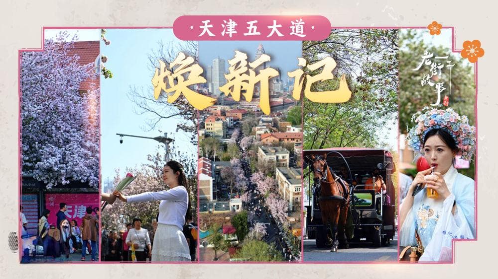 老街故事｜天津五大道焕新记