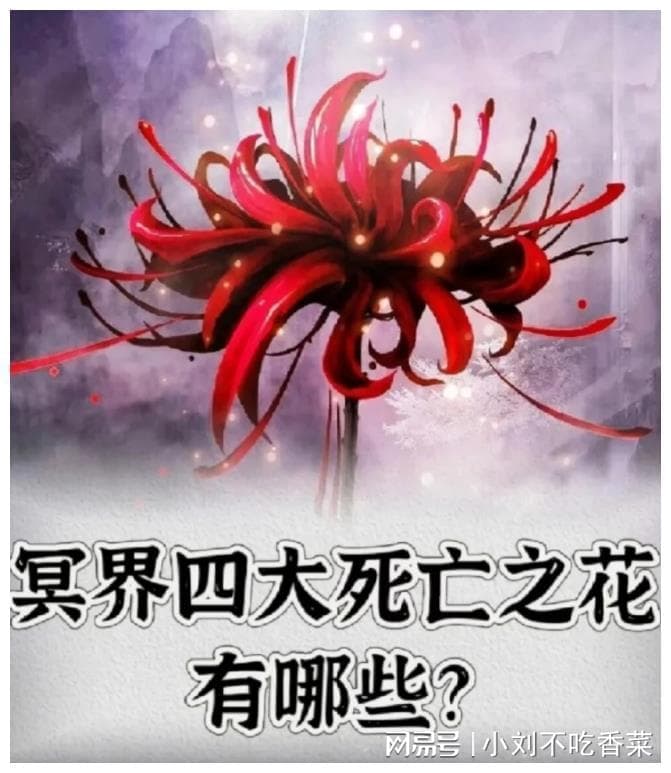 4大“冥界之花”，养在家里招鬼？真相揭秘！