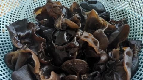 银耳和木耳可以一起吃吗