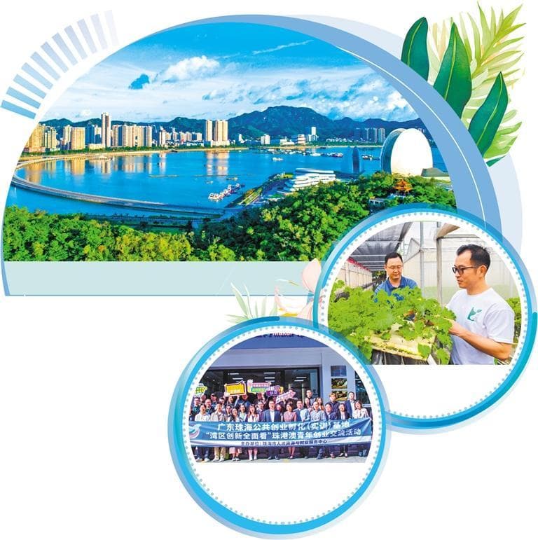 港珠澳助力青年双向奔赴