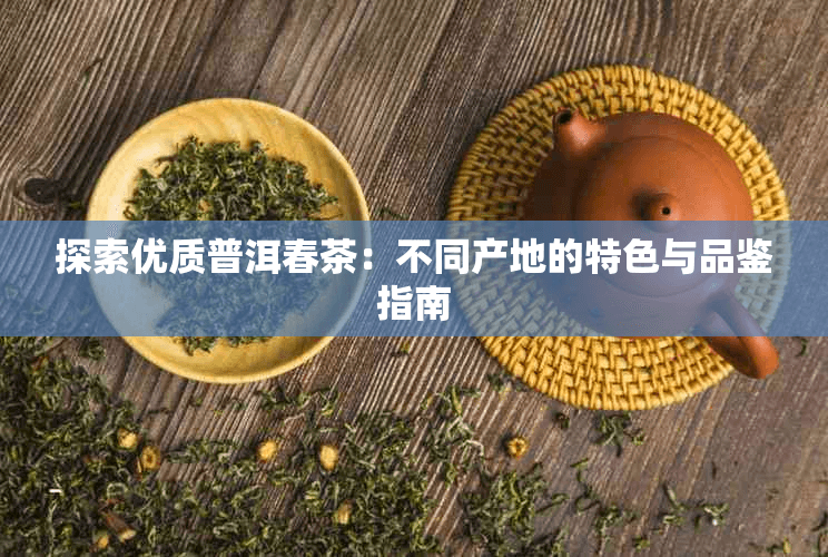 探索优质普洱春茶：不同产地的特色与品鉴指南
