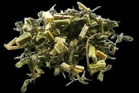 【中药科普】每天认识一味中药材——益母草