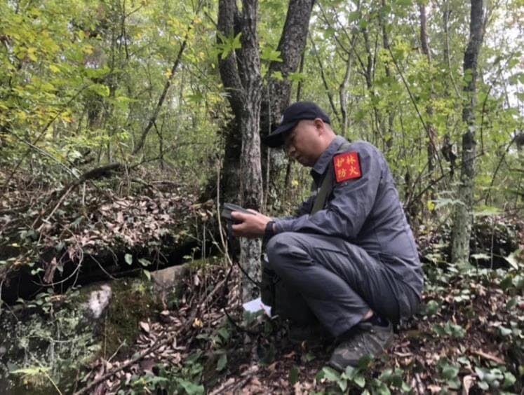 湖北兴山万朝山自然保护区：当好动植物宝库的“守护神”