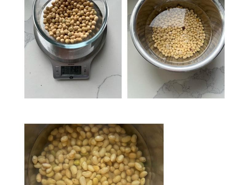 自制内酯豆腐：从黄豆到美味豆腐的完整教程