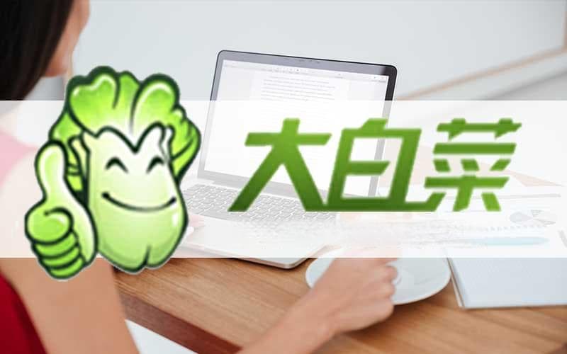 没装显卡能装系统吗(电脑没显卡装系统方法)