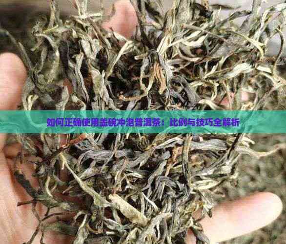 如何正确使用盖碗冲泡普洱茶：比例与技巧全解析