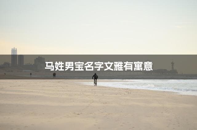 国学大师取名 马姓男宝名字文雅有寓意