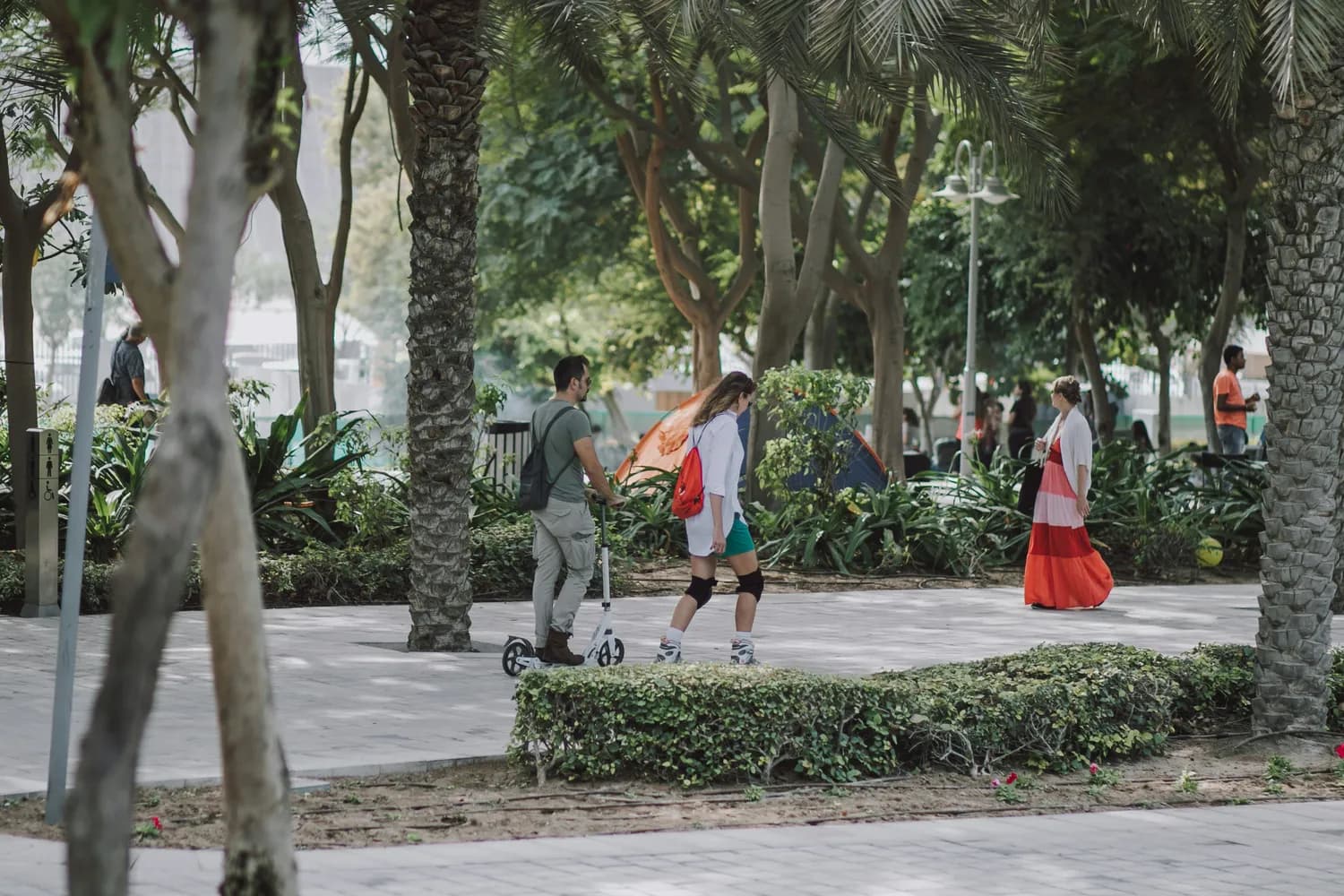 海南养老胜地：最适合老年人的休闲活动指南