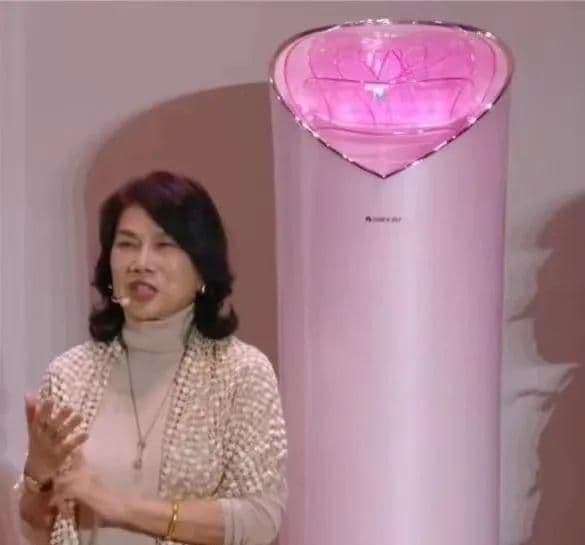 董明珠的"抽象"实验：一场危险的品牌冒险