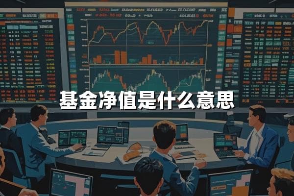 基金净值是什么意思？2025年基金净值详解，附案例