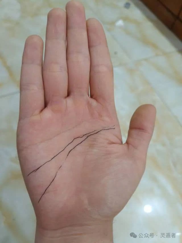 手相学入门：解读手掌纹路与命运关联