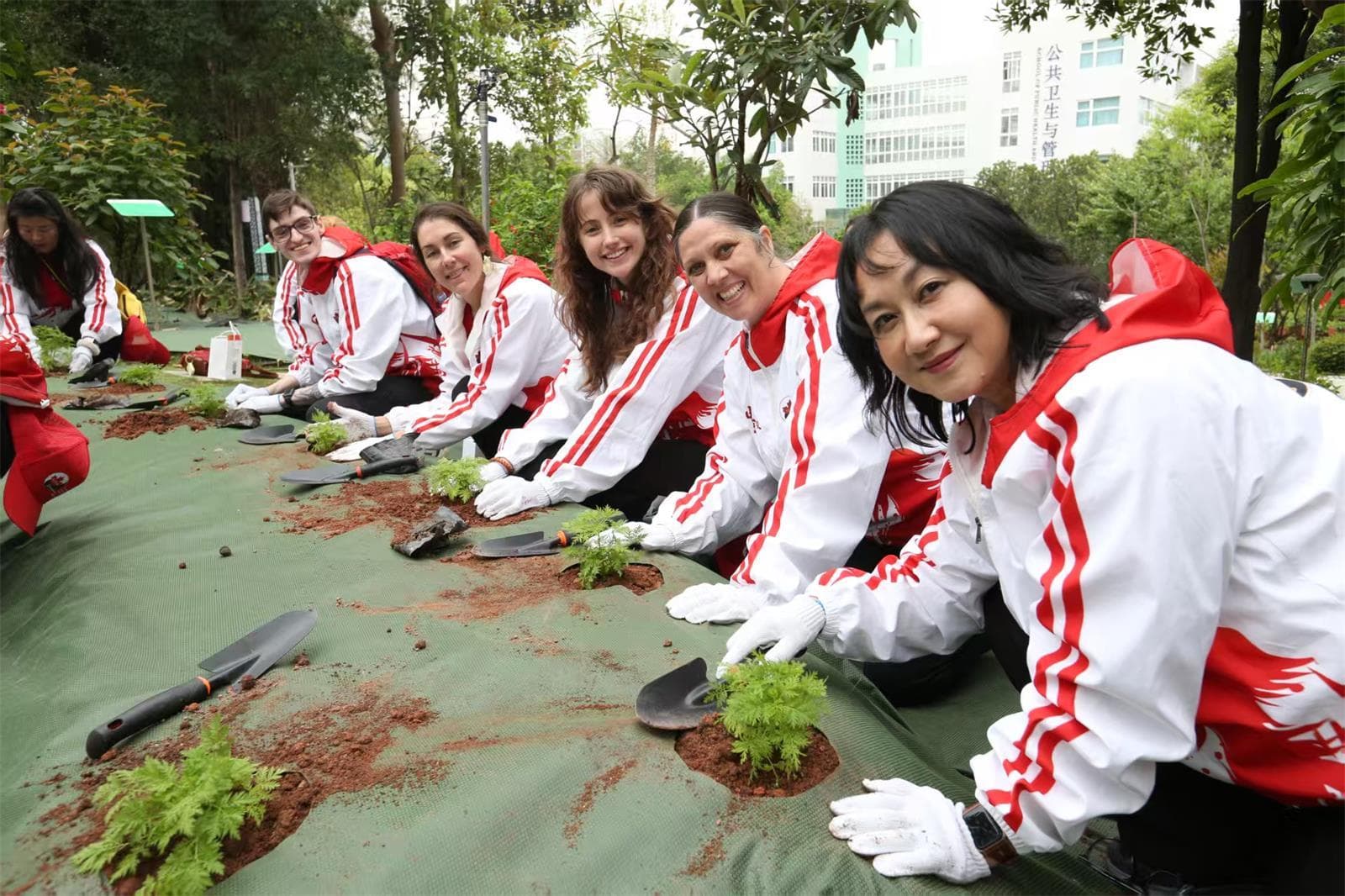 “我要学中医！”加拿大学生组团到广州学中医