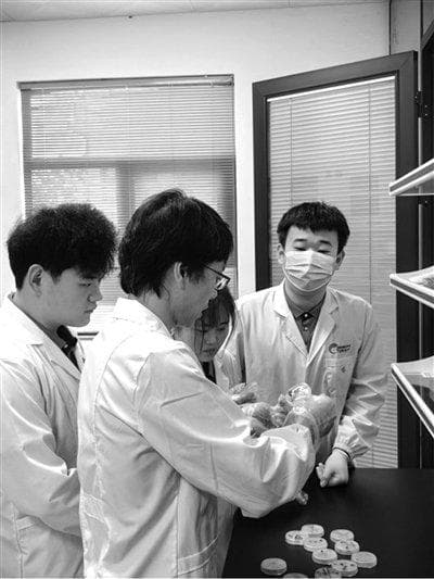 科技小院赋能临高农业产学融合助力乡村振兴