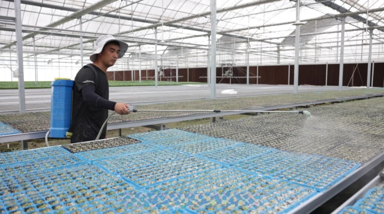 科技育秋苗 迎战酷暑保丰收