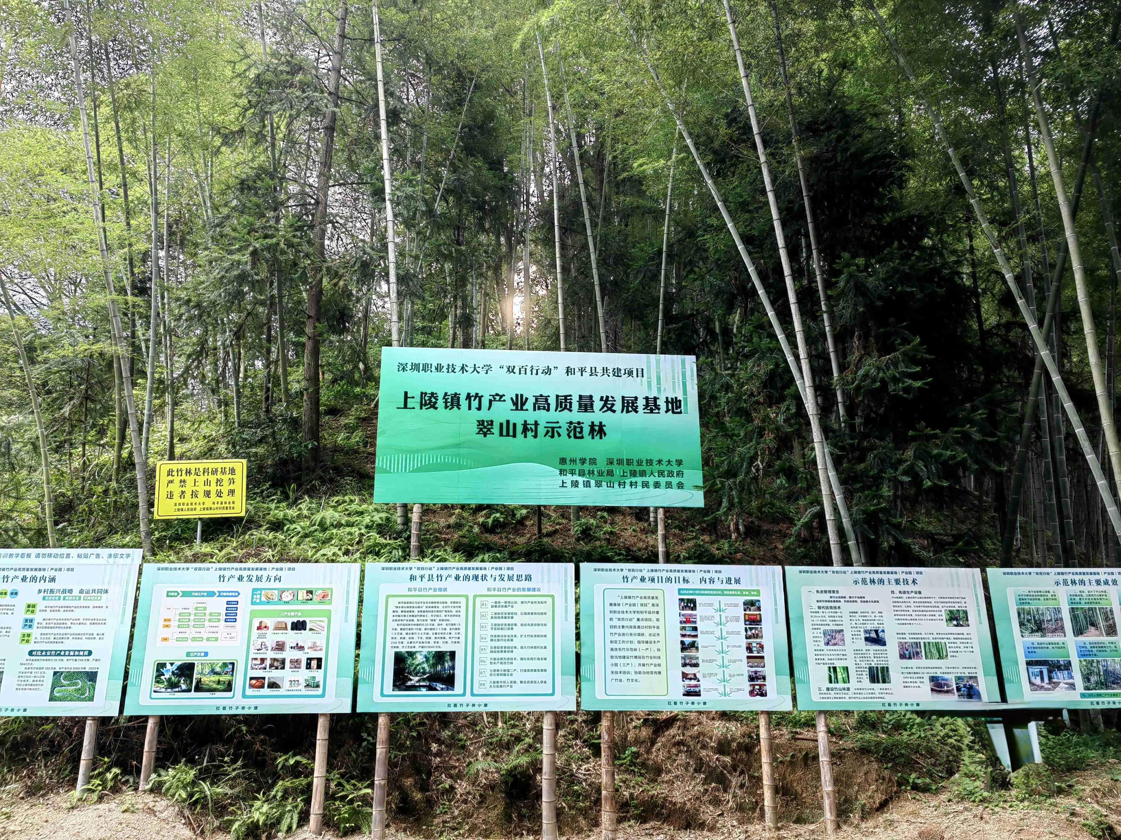 打造高效丰产竹林，让竹山变金山银山