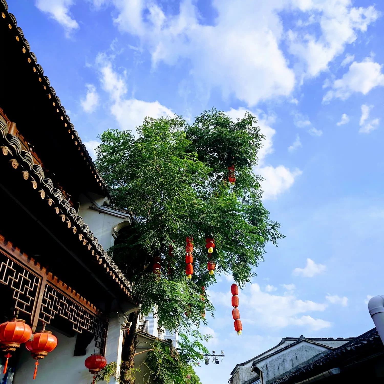 秋冬打卡福州：从三坊七巷到鼓山