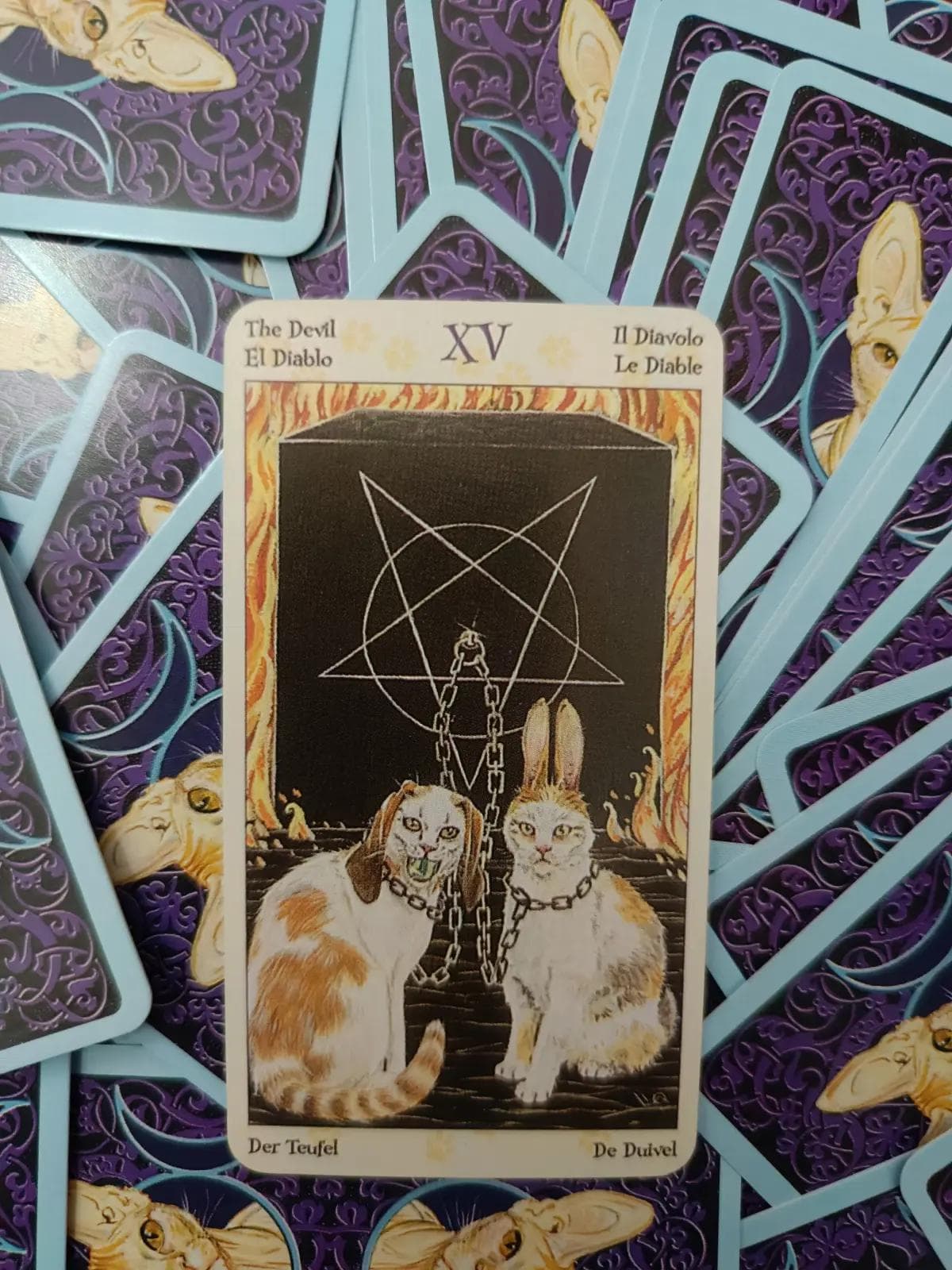 The Devil 恶魔牌 || 欲望的层级