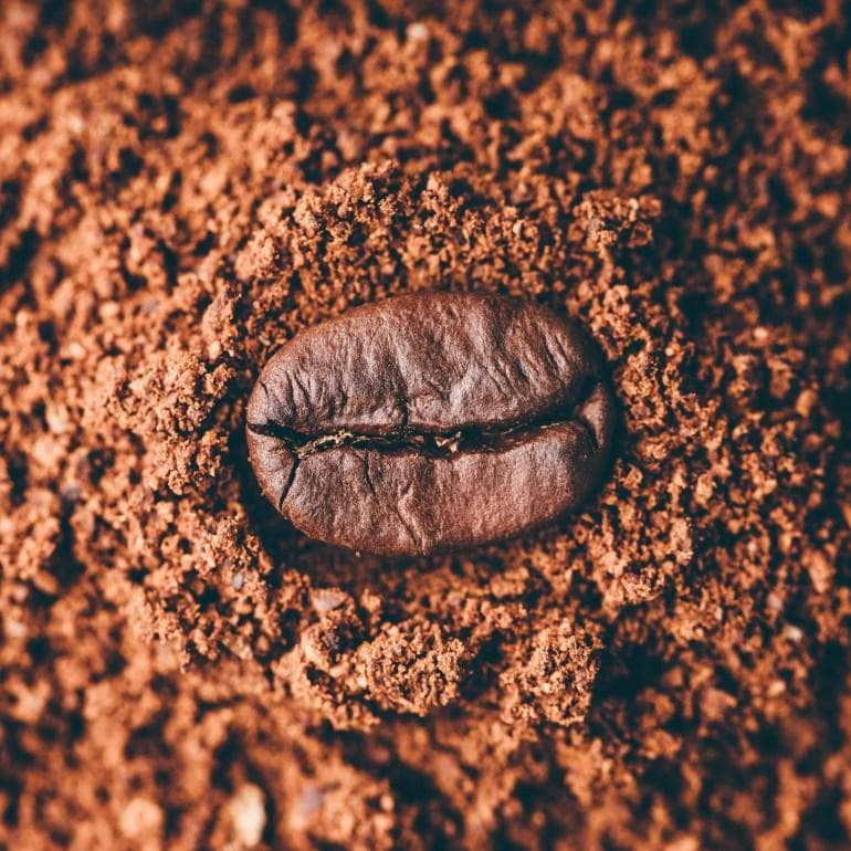 咖啡爱好者指南：了解世界4大咖啡豆与它们的独特风味