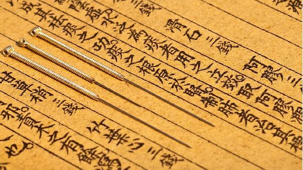 血虚体质养生原则