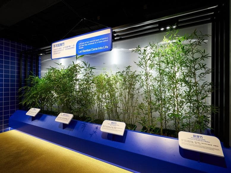 香港首推循环经济展馆：从黑水虻到海洋垃圾，探索可持续发展