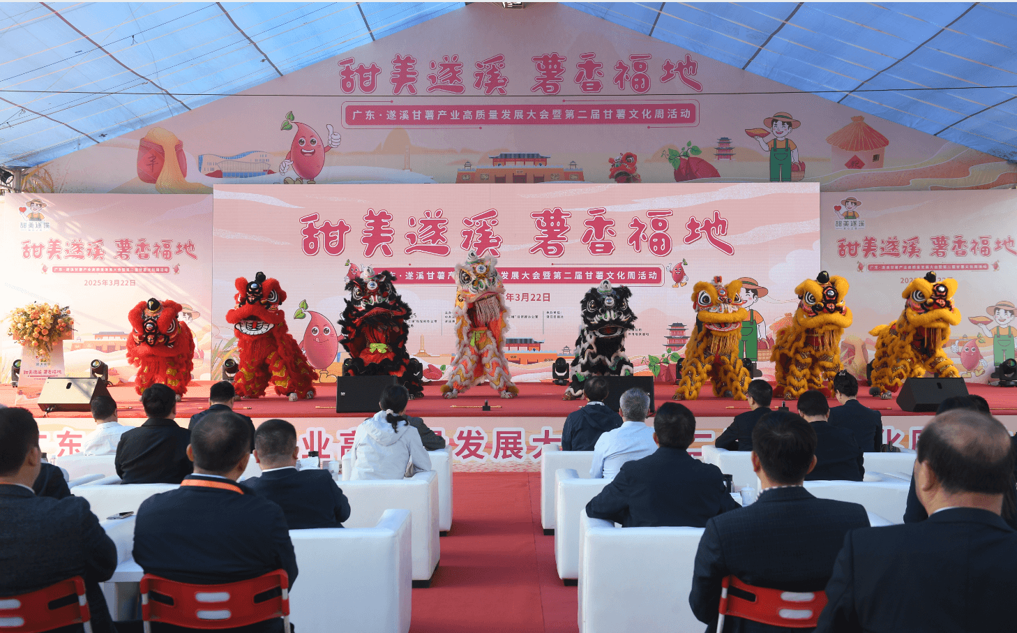 广东遂溪：以“薯”为媒 共话现代农业高质量发展