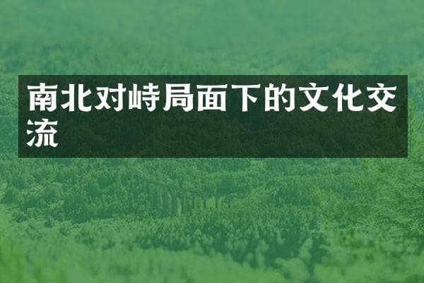 南北对峙局面下的文化交流