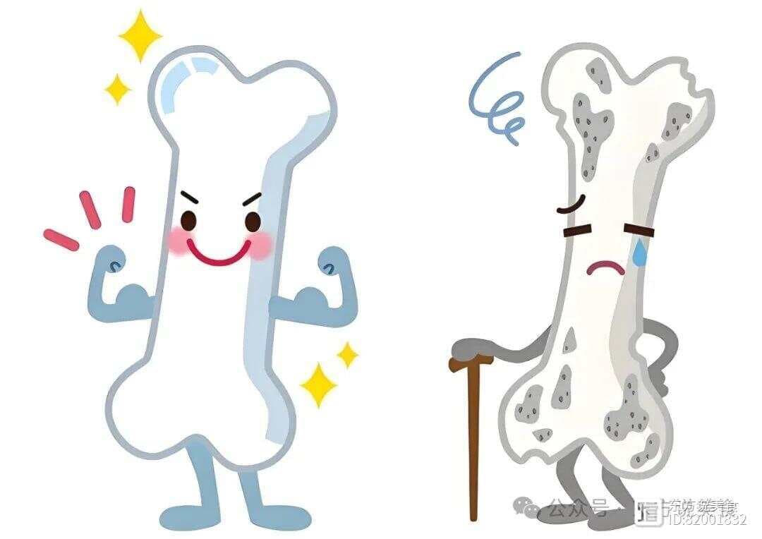 番茄红素的健康益处与副作用：全面解析这种抗氧化物质