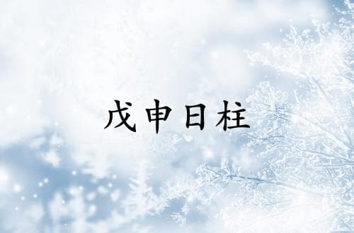 戊申日柱三命通会精论解析