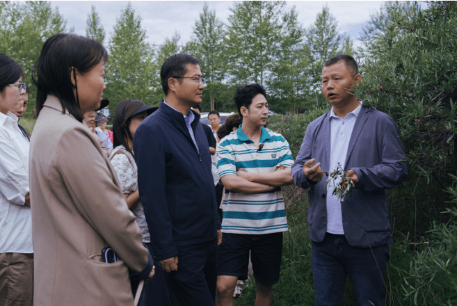 高原上走出去的花样奇“棘”——青海平安沙棘产业的生态与财富“绿色”密码