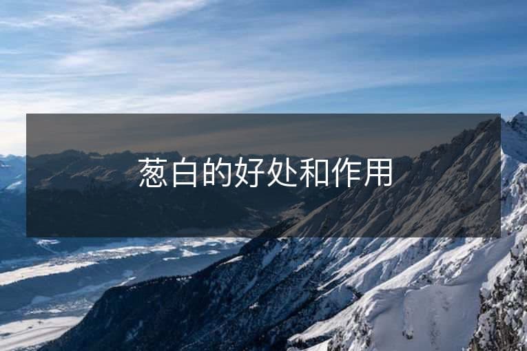 葱白的功效与作用：从消化到免疫的全方位保健