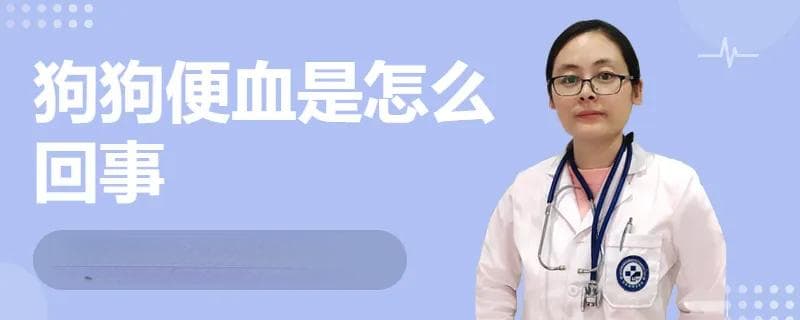 狗狗便血是怎么回事
