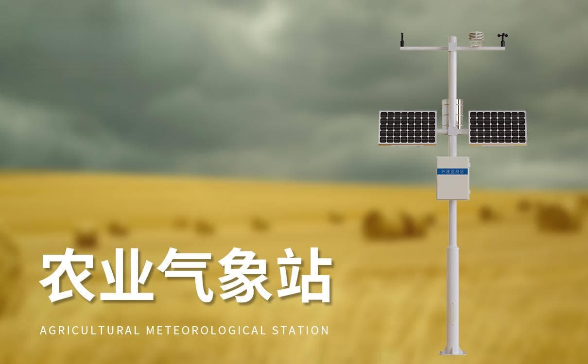 如何提升土壤质量？现代农业的土壤管理策略